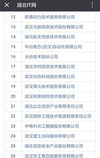 祝賀湖北47家企業(yè)獲評系統(tǒng)集成資質(zhì)壹級和貳級 計(jì)算機(jī)信息系統(tǒng)集成服務(wù)再上層樓